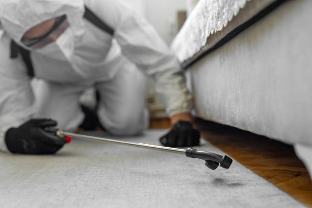Professional Termite Control technician working in Tyrone, PA